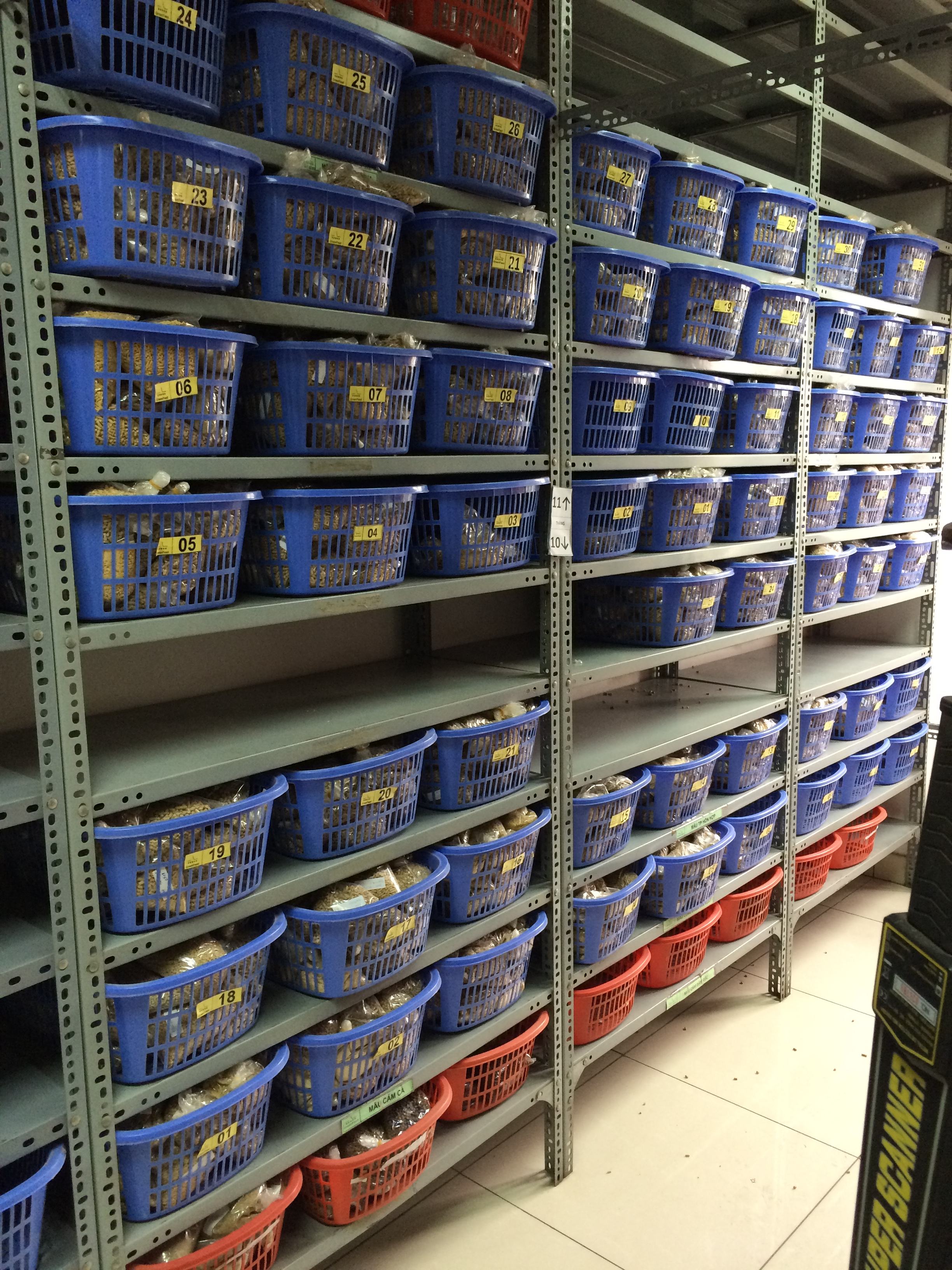 Kệ để hàng tối ưu tối đa không gian