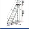 Thang di động cao 3000mm